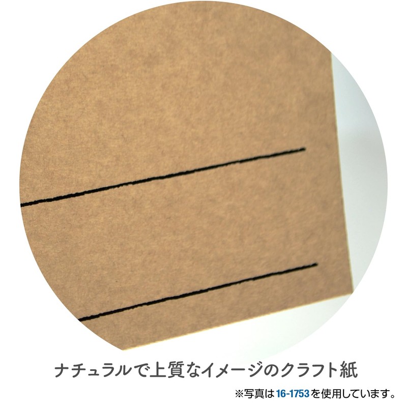 Sasagawa 16-1761 Store Supplies Taka Seal Handwriting Pop Cards, Blow