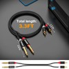 HOSONGIN RCCAA to 1/4 inch Cable 3.3 Feet,Dual 1/4 inch