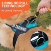 Essential Dog Harness, No Pull Pet Harness with 3 Side