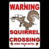 Custom Signs Warning Squirrel Crossing (Hide Your Nuts) Metal Sign
