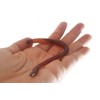 Set of 24 Stretchy Earthworm Stretchy Noodle Fidget Toys -