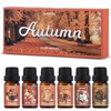 Autumn Fragrance Oils Set, AVEOIRA Fall Essential Oil Set for