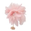 Ostrich Feather Table Lamp Rechargeable Modern Romantic Decoration Lamp Bedroom