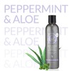 Design Essentials Peppermint & Aloe Therapeutics Anti-Itch Shampoo 240ml