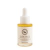 The Beauty Chef Glow F.A.C.E Intensive Rejuvenating Oil, 30ml