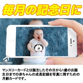 COLORBIRD Monthly Cards, 12 Monthly Cards, Baby 12, Childcare Diary, Monthly Photo Goods, Monthly Photo, Baby Diary