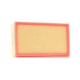 RIDEX 8A0668 Motor Air Filter Recirculation Filter with Pre-Filter