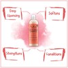SheaMoisture Coconut & Hibiscus Curl & Shine Shampoo | 16