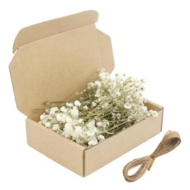 JOVYTH Confezione Gypsophila Essiccata Bianca, Mini Fiori Secchi Naturali per Artigianato, Decorazioni Nozze e Resina, con Cordino