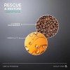 MARTHA DEBYALE HAIR TECH Rescue & Restore Shampoo. Restauración, con