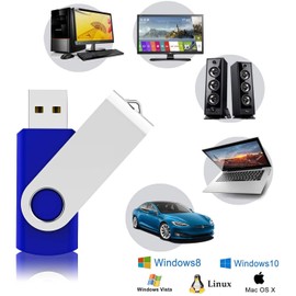 RAOYI 10pcs 4GB USB 2.0 Flash Drive Memory Stick Thumb Drive Swivel Design USB Stick, Blue