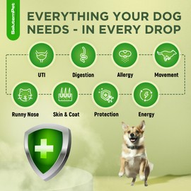 Natural Antibiotics for Dogs and Puppies | Antibiotics for Dogs of All Ages | Herbal Ingredients | Helps with Allergies and UTIs | for Balanced Digestion | Joint Care | Bacon Taste | 2 Oz