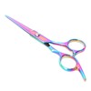 Professional Hair Scissors Barber Hair Cutting Shears Stainless Steel Hairdressing