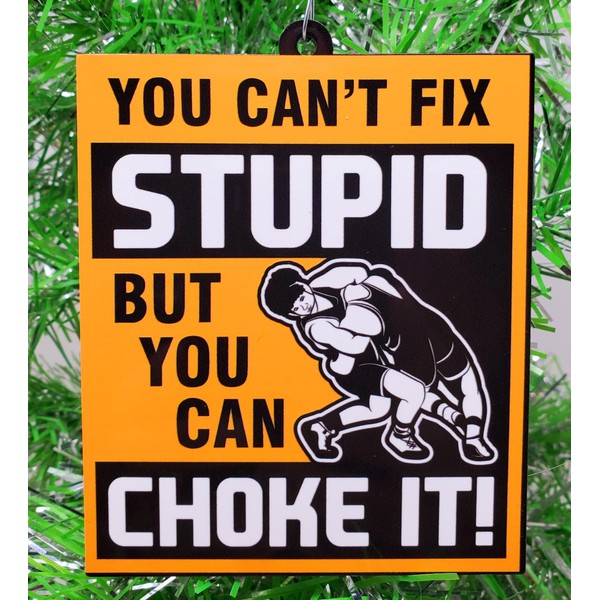 Generic Wrestling Ornament - You Can't Fix Stupid But You