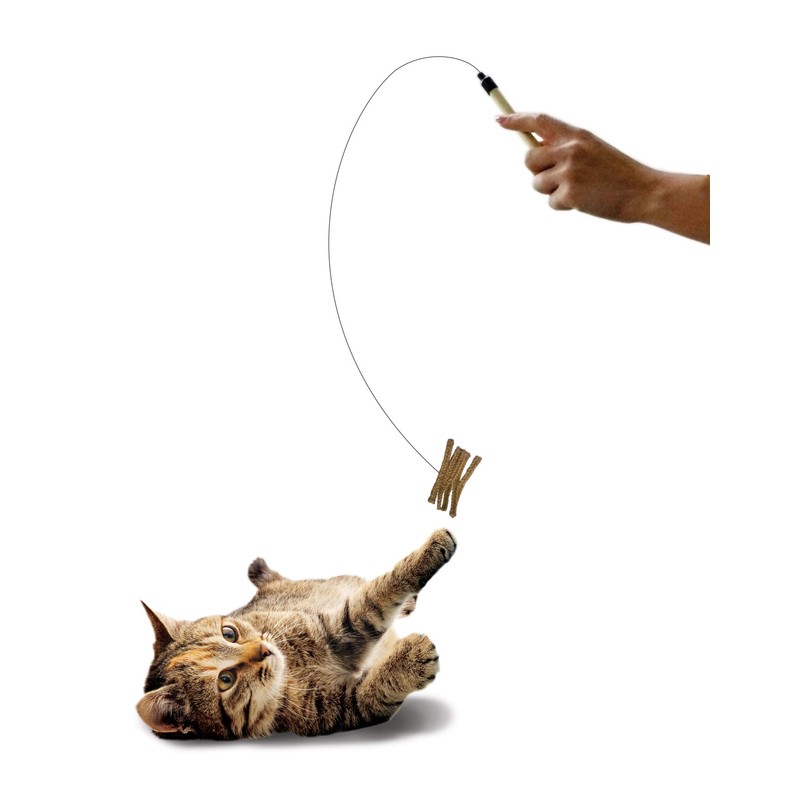 SPOT Ethical Pets Teaser Wand Cat Toy, 44", Assorted, Model