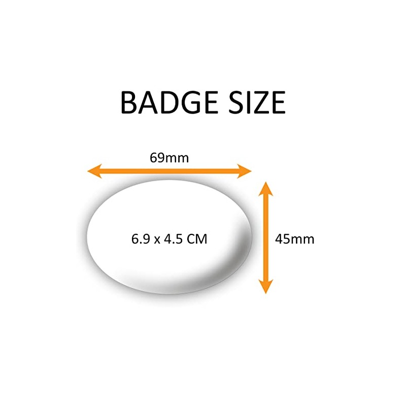 "I'm Blind" Large Pin Button Badge. Disability Awareness. High Visibility