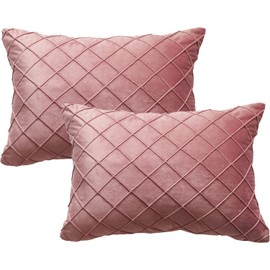 GONOVE Velvet Cushion Covers 30X50cm Soft Decorative Dusky Pink Throw Pillow Cases Pack of 2 Square Pillow Covers Pillowcases with Invisible Zipper for Home Couch Sofa Bed