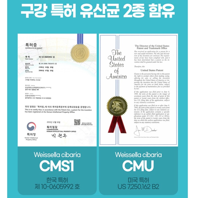 Oral Lactobacillus cmu OraCMU Gum Lactobacillus CMU 30 tablets /