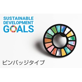 Mother of Pearl SDGs Badge Pin Type, Plastic