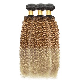 HeioWuio 1B/27/613 Hair Bundle 3 Bundles Curly Wave Ombre Three Tone Brazilian Remy Human Hair Bundle Honey Blonde and Brown Bundle Three Tone Hair Weave Curly Wave Bundles 24 26 28 Inch