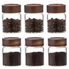 Patoper Glass Spice jars Glass Jars with Screw Lid 5