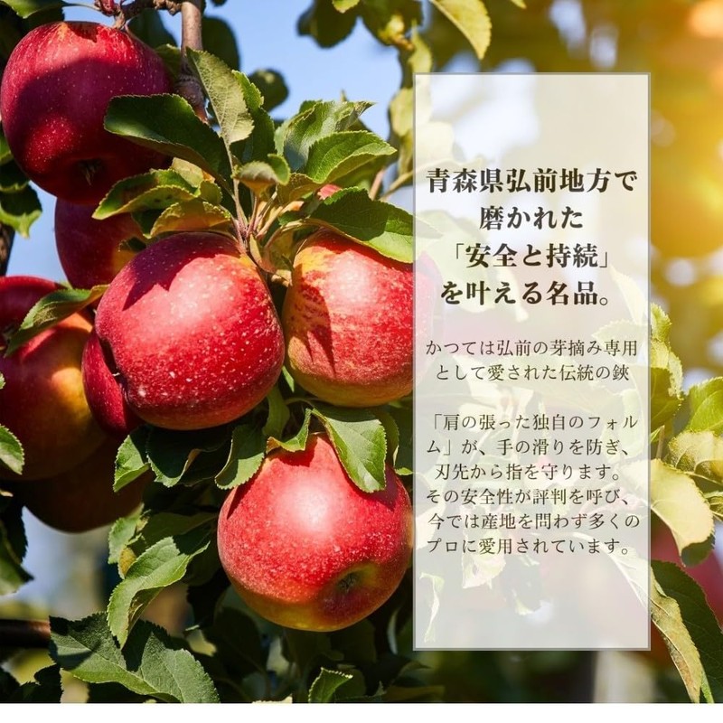 小林製鋏 越路 打物 芽切鋏 K-1
