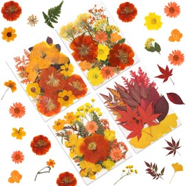 LUXEEASE - Flores secas de tono otoño 80P para manualidades, flores prensadas naturales reales en tonos cálidos de otoño para resina, arte de bricolaje, joyería, decoración de Acción de Gracias y