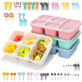 Bento Lunch Box - 4 Pack, Reusable Food Storage Snack Containers with Transparent Lids for School, Work and Travel