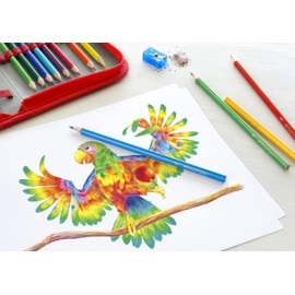 Faber-Castell 116514 - Set di matite colorate Ergonomics da 18 pezzi