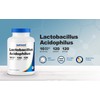 Nutricost Nutricost Lactobacillus Acidophilus 10 Billion CFU, 120 Vegetarian Capsules