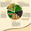 Shampoo Tinte Instantaneo Cubre Canas Natural Jengibre 500ml