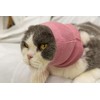 DDFS Cat Ear Cover Calm Cat Ear Wrap Neck Hematoma