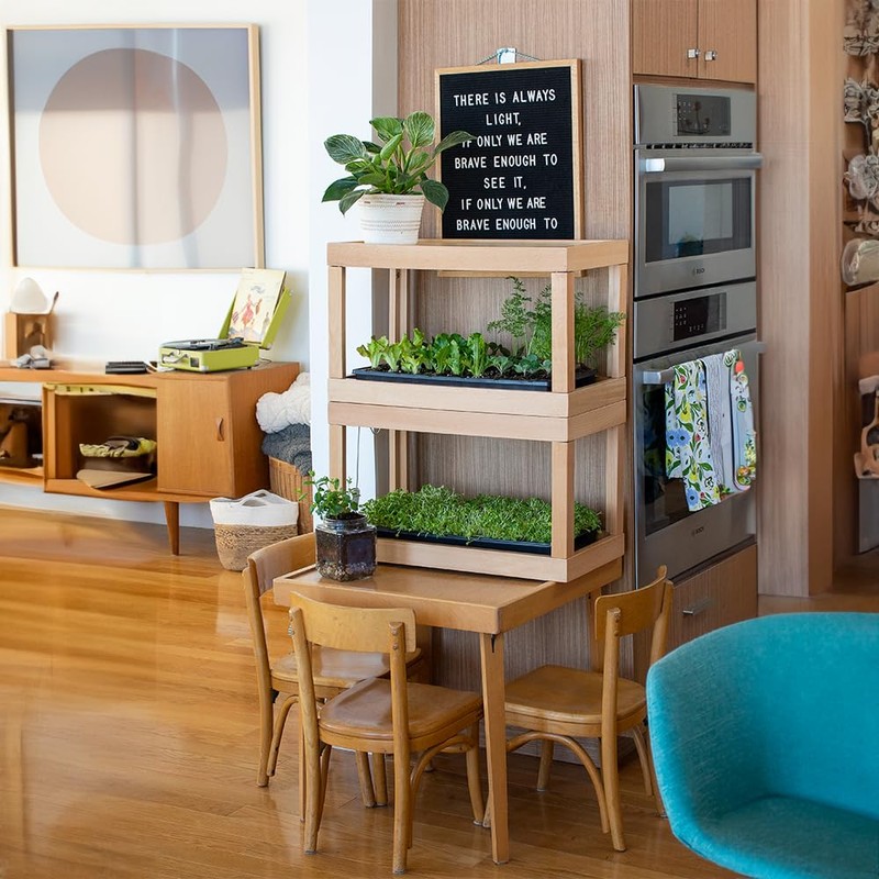 SuperMoss 01702 Indoor Herb Garden, Hardwood