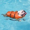 Outward Hound Outward Hound Granby Splash Orange Dog Life Jacket,