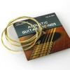 Danchet A105 Acoustic Guitar Strings,Bronze,Normal (1 Set)