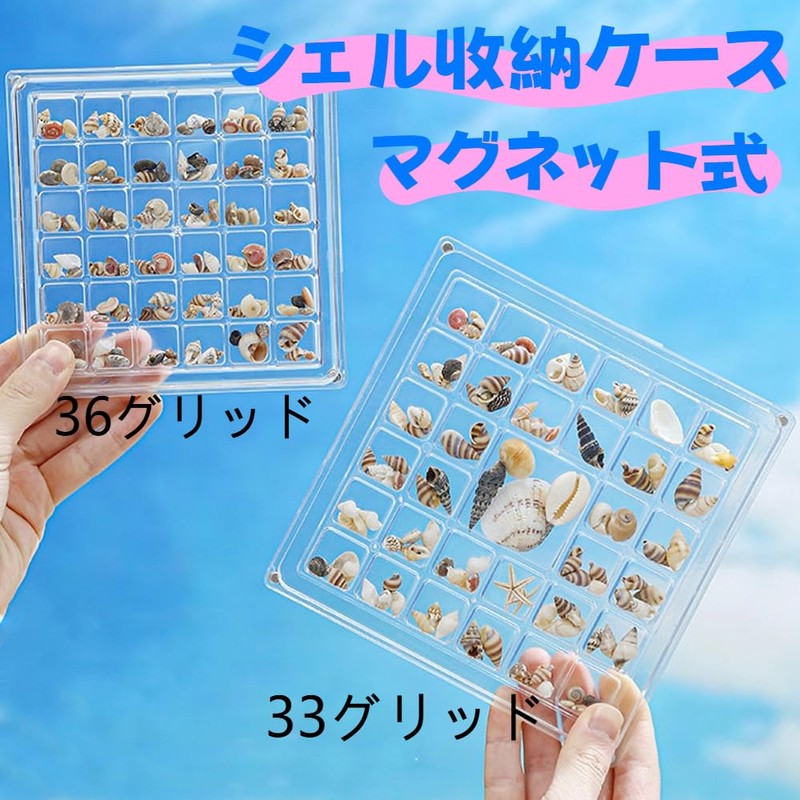 Dekori Shell Display Box Transparent Magnetic Mini Shell Box Waterproof