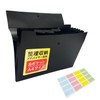 Document File, A4 x 8 Pockets, Can Carry and Store