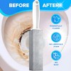 Bexter 2-Pack Value Toilet Bowl Pumice Cleaner with Handle –