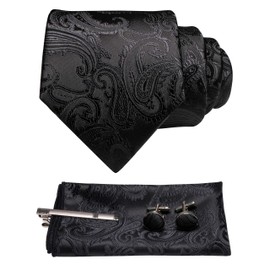 JEMYGINS Men's Necktie, Paisley Pattern, Pin, Cuffs, Button, Chief, Business, Job Hunting, Weddings, School Entrance Ceremonies, Graduations, After-parties, Funerals, Parties, Father's Day, Present,