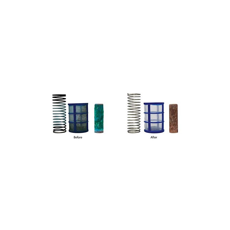 No More Green Technologies - Solar Pool Ionizer Cleaning Kit,
