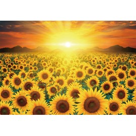 CHAMBERART 1000 Piece Premium Jigsaw Puzzles Golden Sunflower A-1158