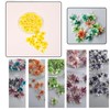 1 Boxes 50 pcs Nail Drying Flower, DIY, 3D Nail