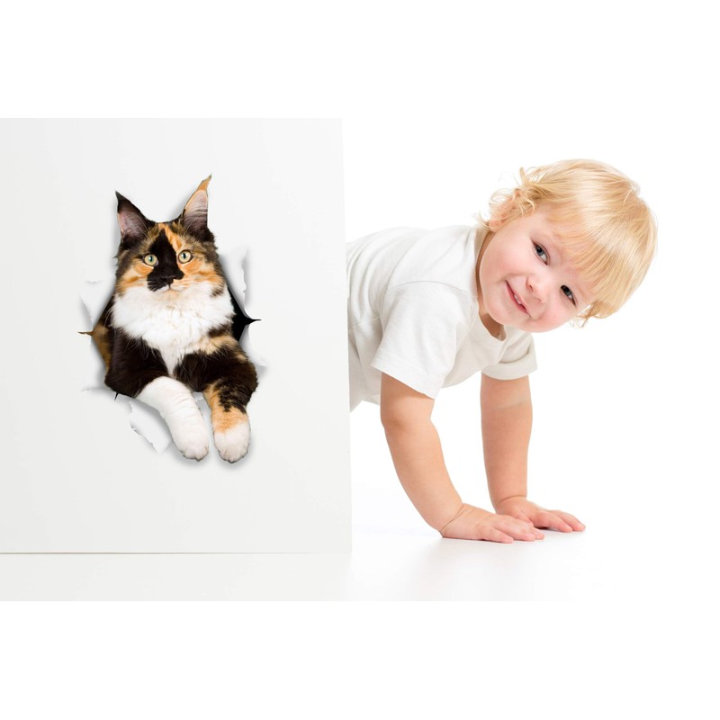 Winston & Bear 3D Cat Stickers - 2 Pack -
