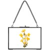 REDHUGO Hanging Pressed Flower Frame Handmade Double Glass Picture Frame