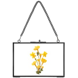 REDHUGO Hanging Pressed Flower Frame Handmade Double Glass Picture Frame Floating Frame for Pressed Flowers Wall Art Rectangle Horizontal 4x6 Black (Frame Only)