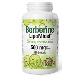 Berberine LipoMicel 500mg (120 Count (Pack of 1))