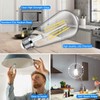 12-Pack Vintage LED Edsion Bulbs 100W Equivalent, E26 Base Bulb