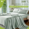 Shilucheng 100% Viscose Derived from Bamboo_ Sheets Queen Size 4pcs