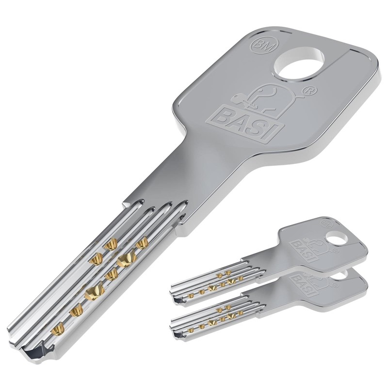 BASI BM Euro Profile Cylinder Lock - EF 30/30 with