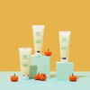AmpouleN Purifying Shot Pumpkin Enzyme Peeling Gel 100ml